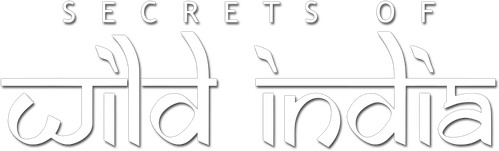 Secrets of Wild India logo