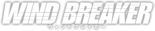 WIND BREAKER logo