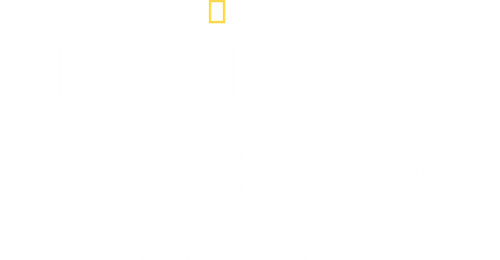 Au plus près des requins avec Bertie Gregory logo