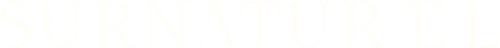 Supernatural logo