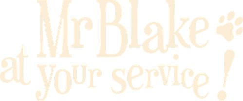 Mr. Blake at Your Service! logo
