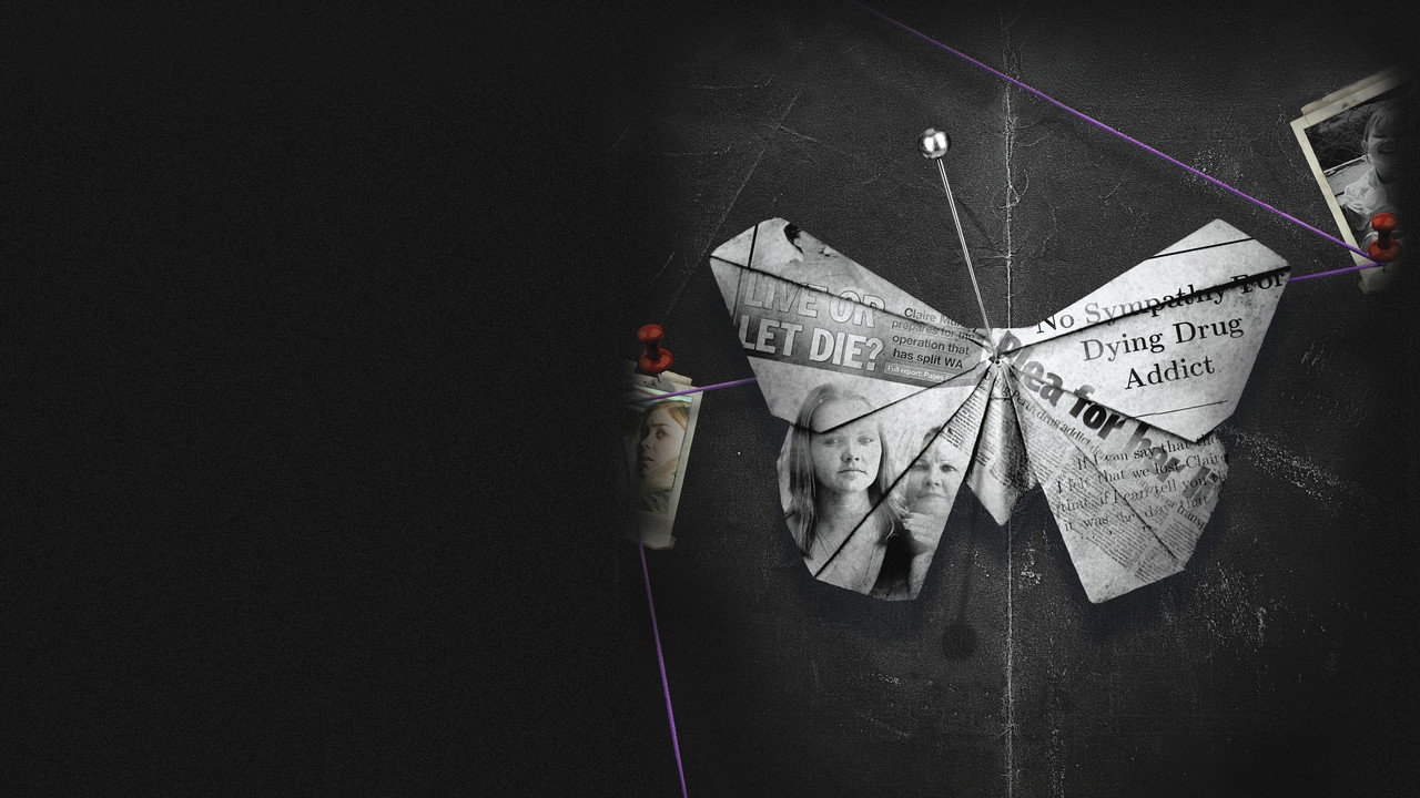 Wild Butterfly