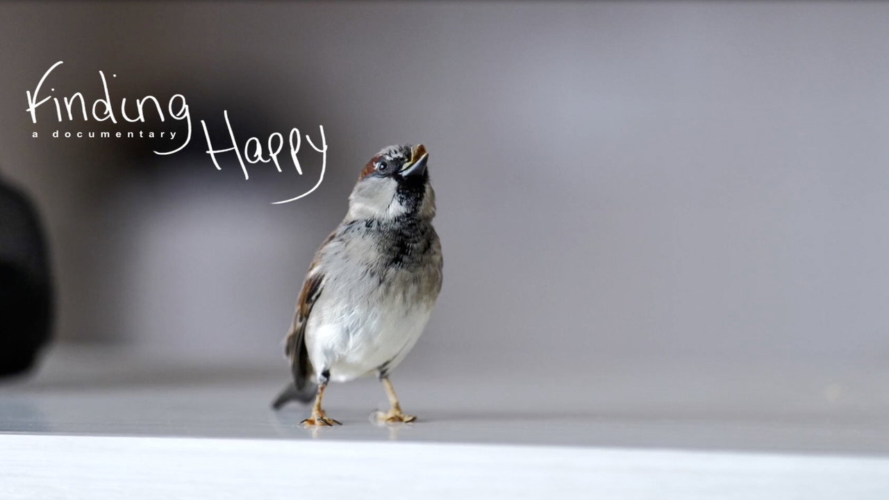 Finding Happy