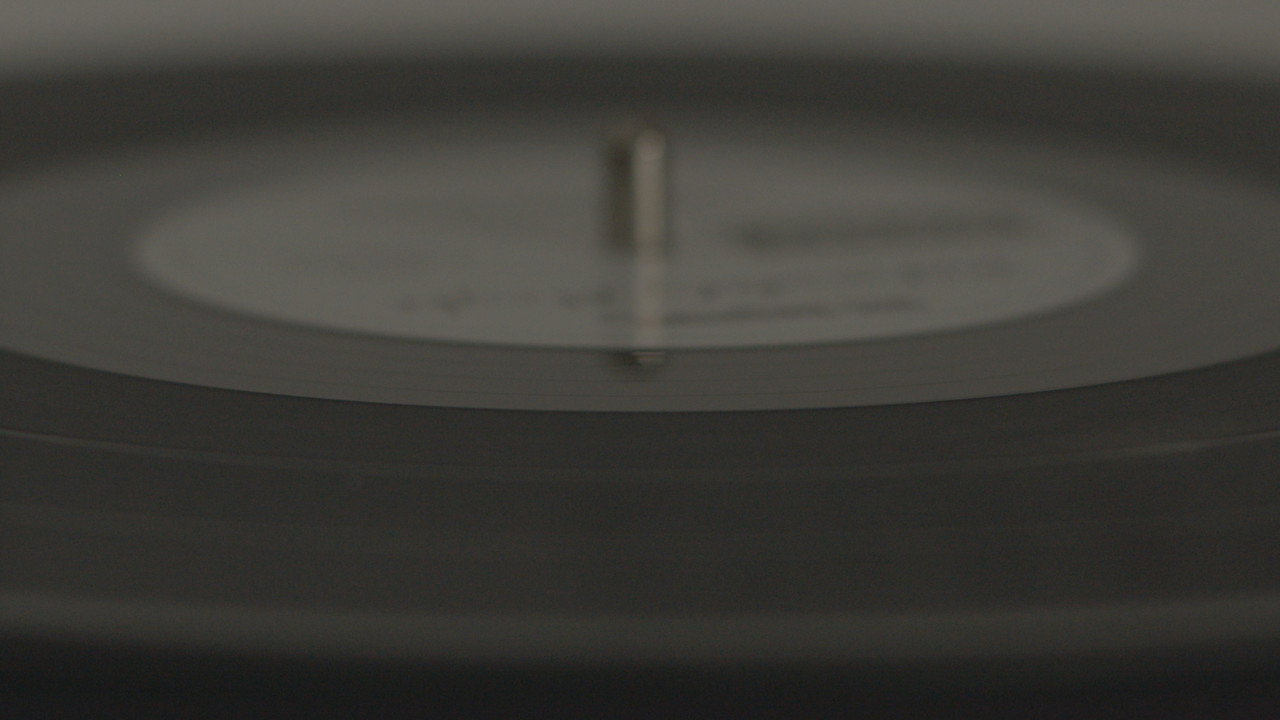 The Vinyl Player
