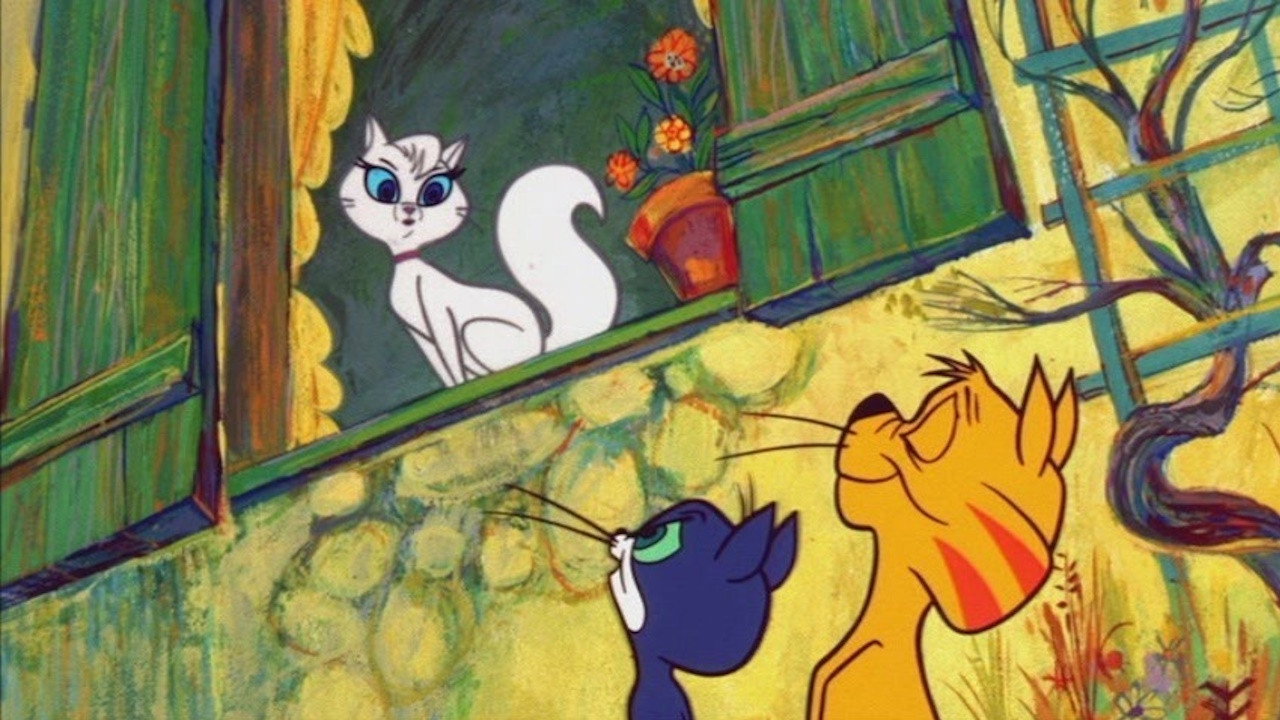 Chat, c'est Paris