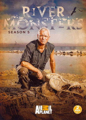 Saison 5