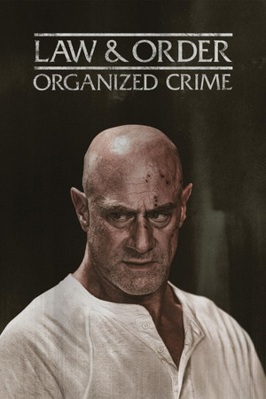 Saison 5