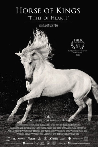 Le cheval andalou