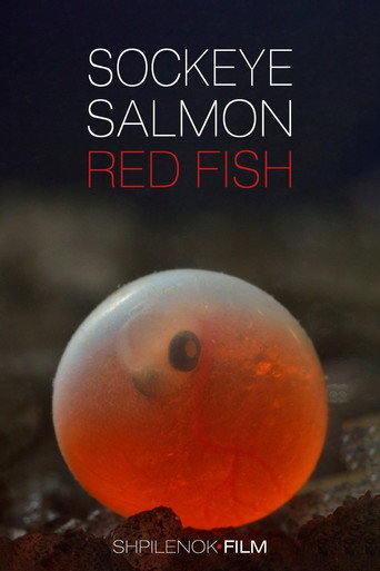 Sockeye Salmon. Red Fish