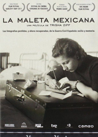 La maleta mexicana