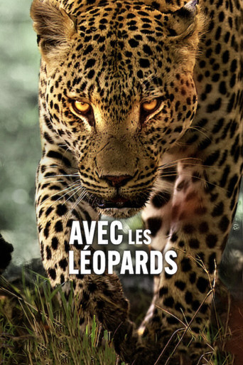 Avec les léopards