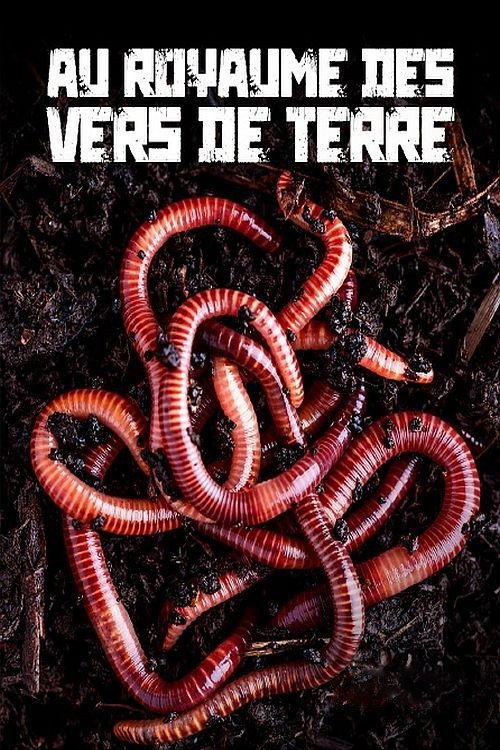 Au royaume des vers de terre : La vie du sol dévoilée