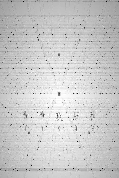 1194D