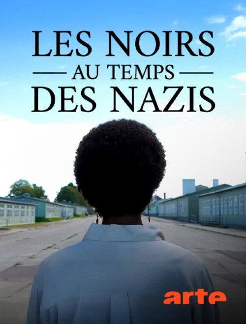 Les Noirs au temps des nazis : Des victimes oubliées