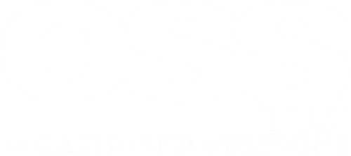 OSS 117 : Le Caire, nid d'espions logo