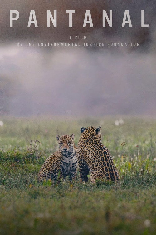 Pantanal