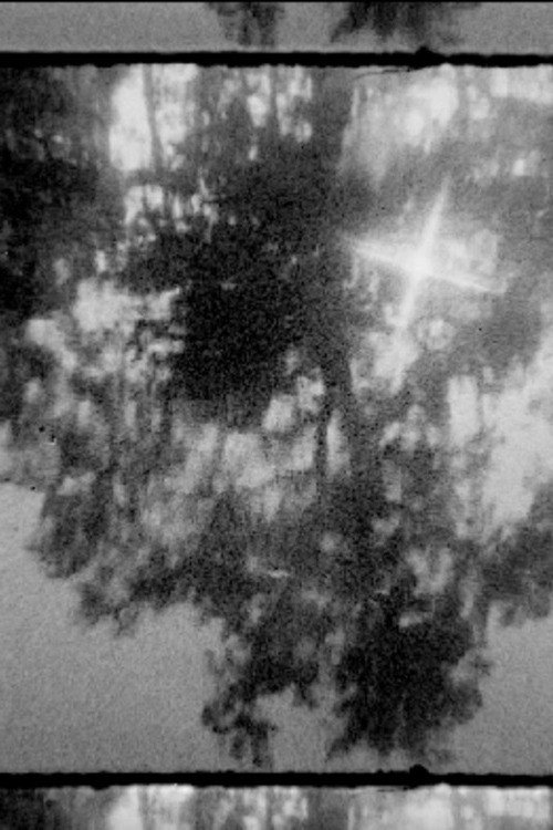 In the Darkness