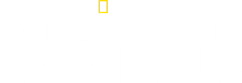 American Blackout logo