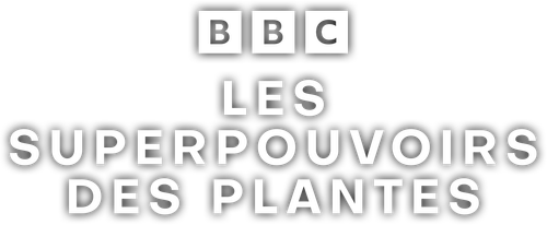 Les superpouvoirs des plantes logo
