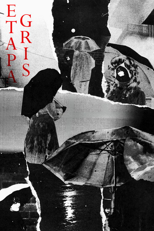 Etapa Gris