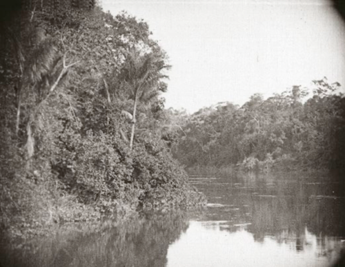 Amazon: Longest River in the World logo