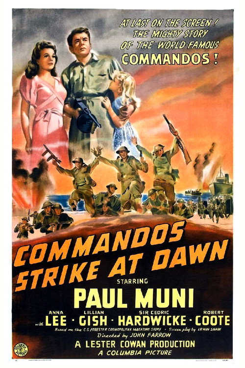 Le commando frappe à l'aube