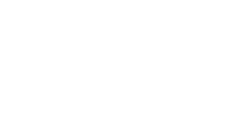 Hudson Hawk logo