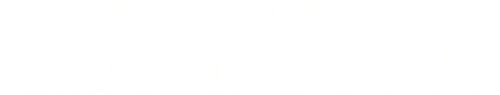 Davy Crockett, Indian Scout logo