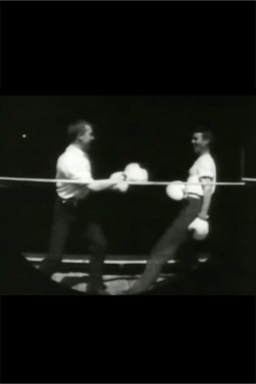 Men Boxing