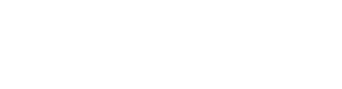 Bullet Train logo