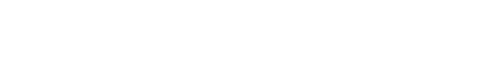 Bugs logo