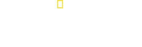 Les Secrets des baleines logo